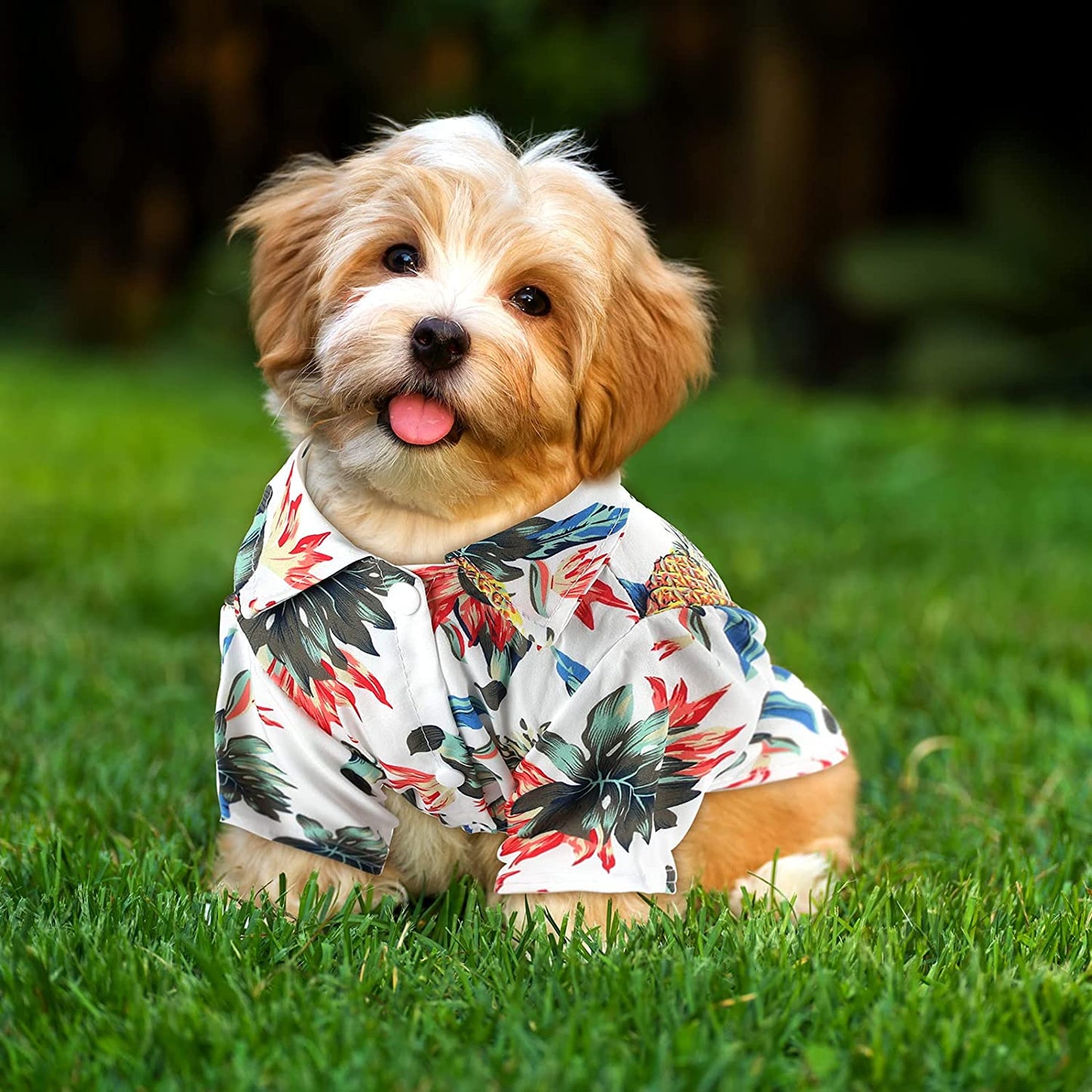 4 Pieces Pet Summer T-Shirts Hawaii Style Floral Dog Shirt Hawaiian Printed Pet T-Shirts Breathable Cool Clothes Beach Seaside Puppy Shirt Sweatshirt for Small Puppy(Cute Style, X-Large)