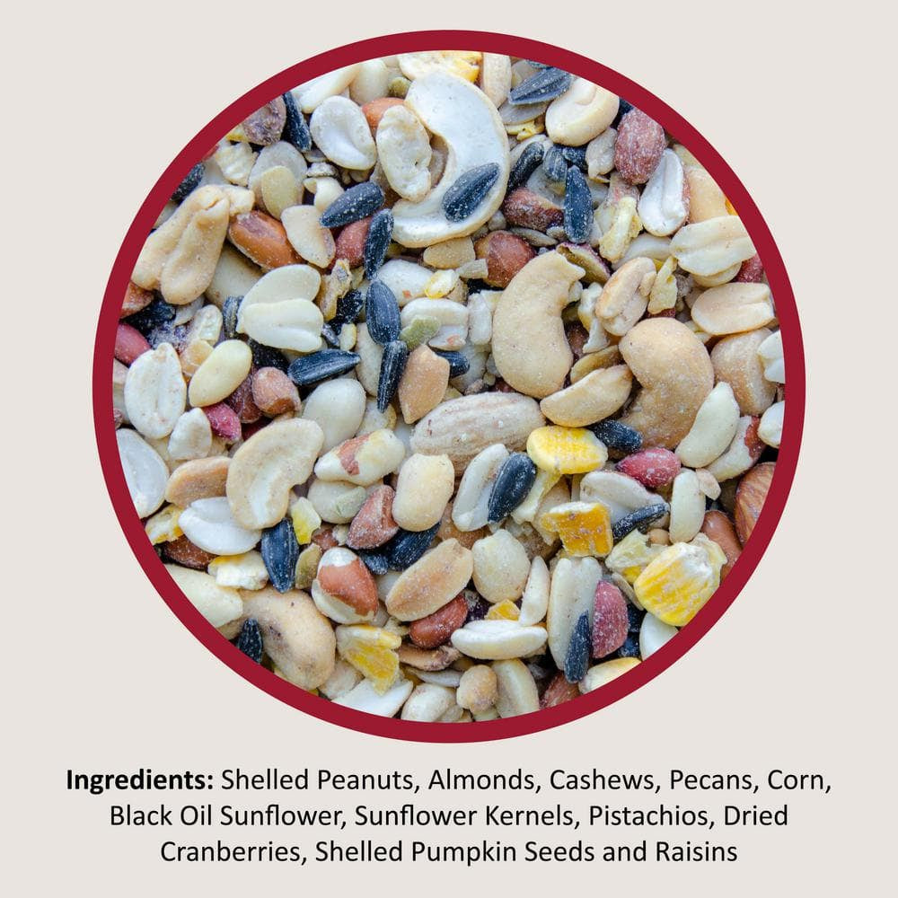 20 Lbs. Fruit and Nut High Energy Wild Bird Mix