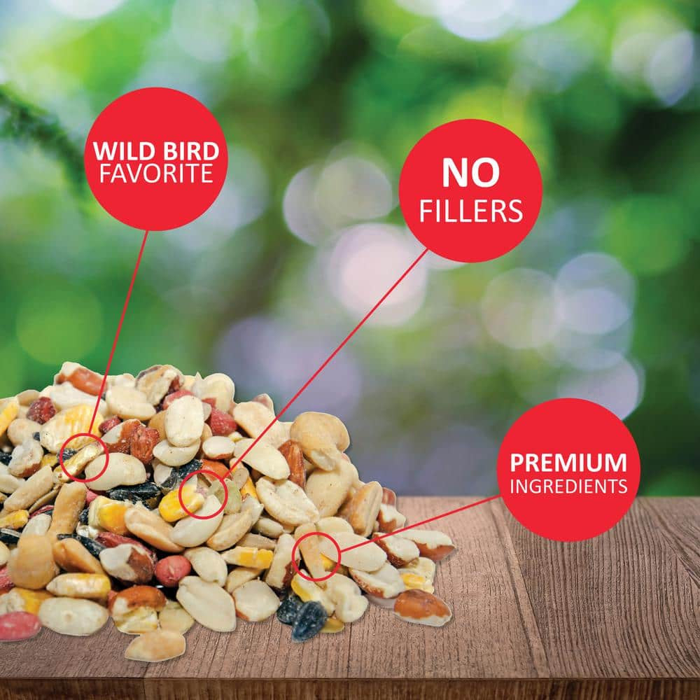 20 Lbs. Fruit and Nut High Energy Wild Bird Mix